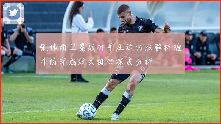 张伟丽卫冕战对手压迫打法解析缠斗防守成败关键的深度分析