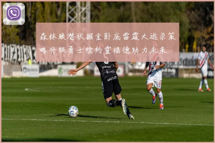 森林狼潜伏掘金卧底雷霆大逃杀策略升级勇士续约霍福德助力未来