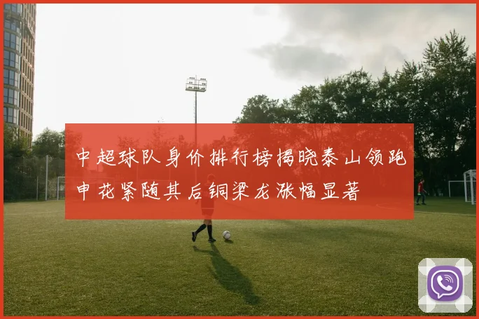中超球队身价排行榜揭晓泰山领跑申花紧随其后铜梁龙涨幅显著
